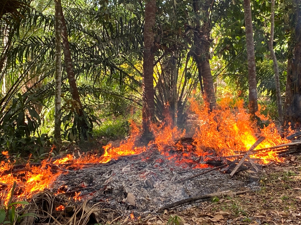 déchets verts feu brûler danger alternatives